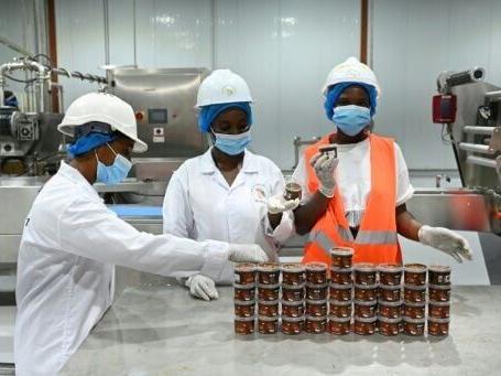Ivorian brothers dream of transforming cocoa industry
